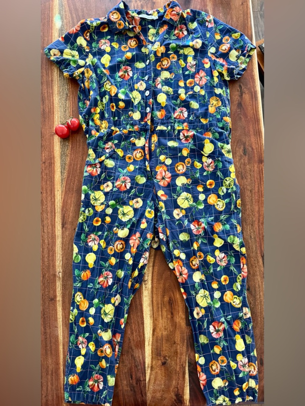 Rachel Antonoff Tomato Print Jumpsuit Foodie festival 1x (read description)